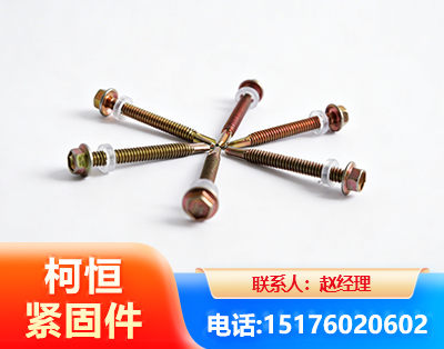 海东六角钻尾丝